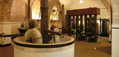 Museo dell’Olio